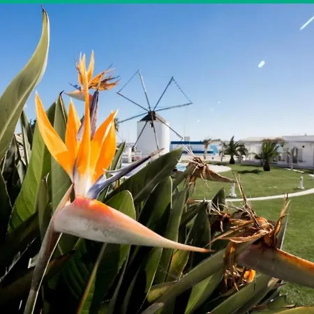 Windmill Hill Luxury Apartman *