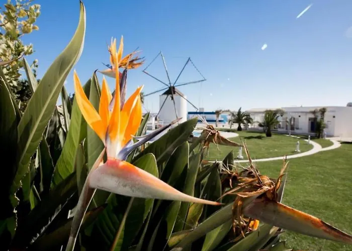 Windmill Hill Luxury Apartment *